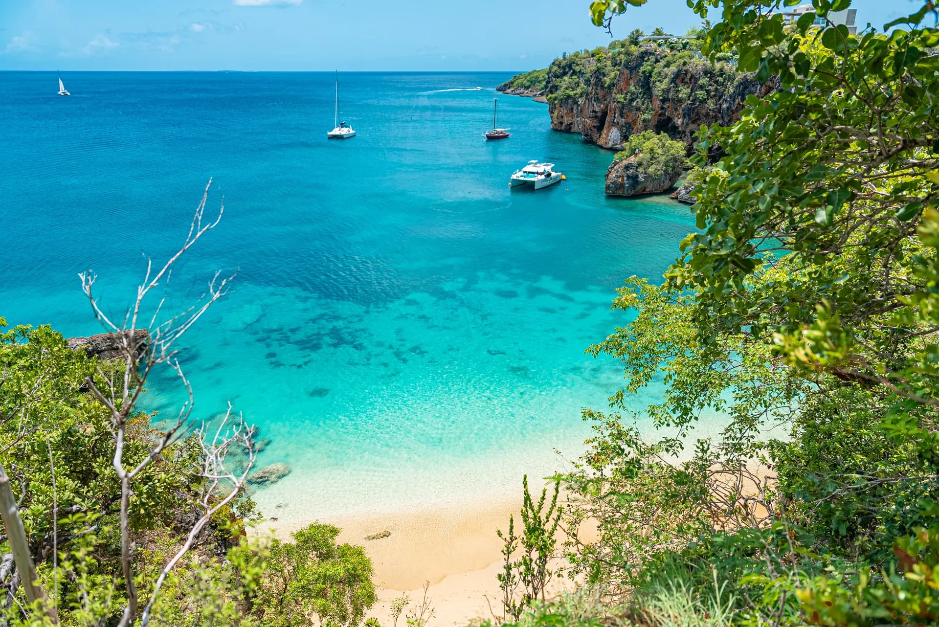 Turquoise water framed by trees at Little Bay